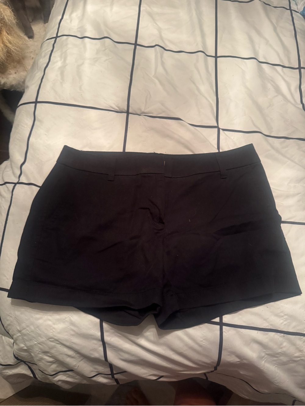 J. Crew Factory Black High-Rise Tailored Shorts size 6